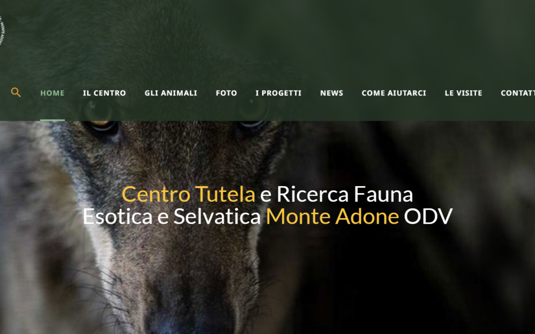 Centro Tutela Fauna Monte Adone – Presenza digitale continua